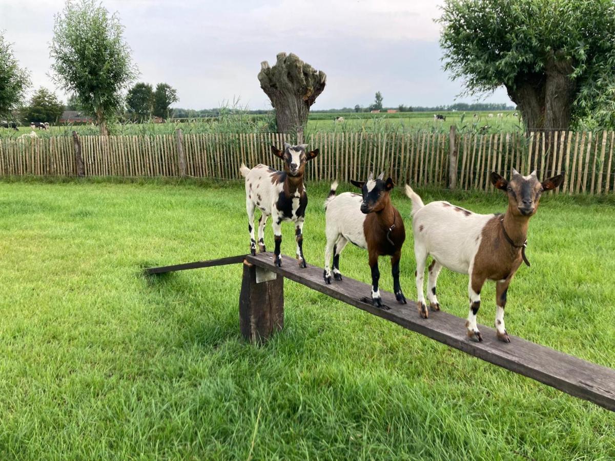 De Burkelhoeve Appc Maldegem Eksteriør billede